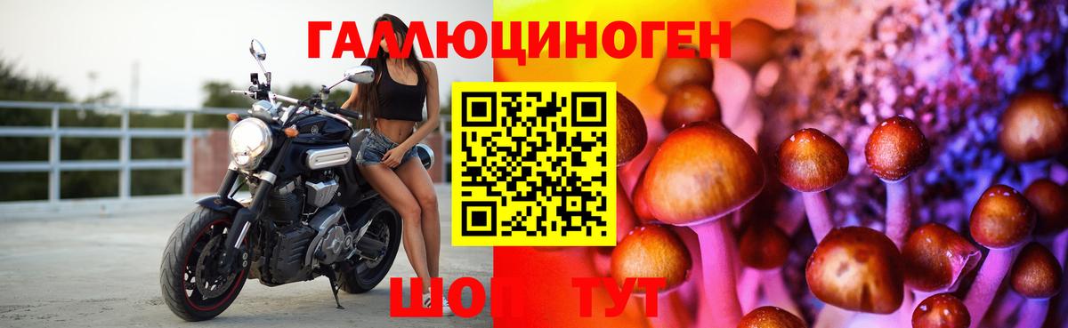 Кольчугино  Галлюциногенные грибы прущие грибы  Псилоцибиновые грибы Psilocybe  Вход с VPN 