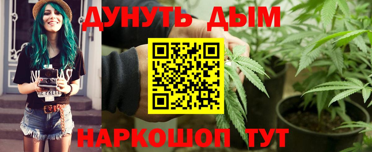 Кольчугино  Каннабис LSD WEED  МАРИХУАНА ГИДРОПОН  Вход с VPN  Марихуана SATIVA & INDICA  Бошки Шишки MAZAR 